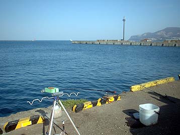 100504daini.jpg(26754 byte)