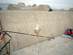 100516_05.jpg(18201 byte)