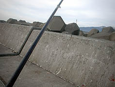 100516_10.jpg(16557 byte)