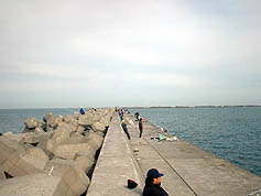 100516_11.jpg(14167 byte)