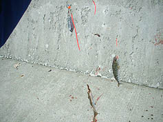 100516_14.jpg(18682 byte)
