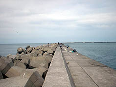 100516_18.jpg(14456 byte)