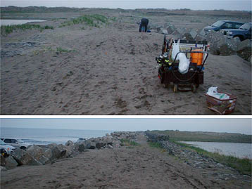 100516tyuusya.jpg(31903 byte)