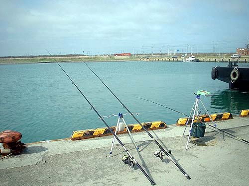100523higasi.jpg(44267 byte)