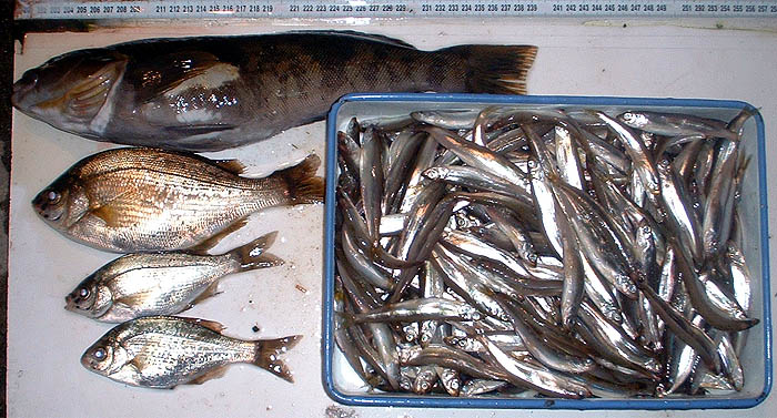 100607.jpg(108838 byte)