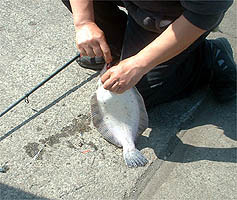 100607kuro.jpg(26670 byte)