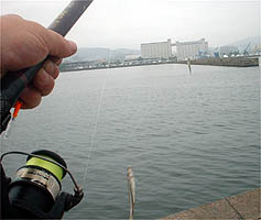 100607tika01.jpg(16421 byte)