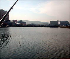 100607tika02.jpg(17158 byte)