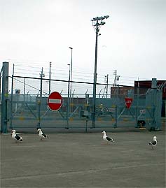 100702gome.jpg(16902 byte)
