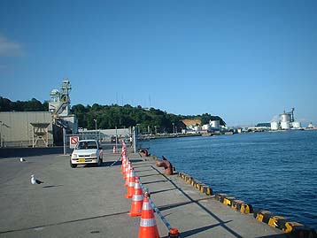 100725hidari.jpg(23371 byte)