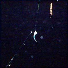 100802katakuti01.jpg(14462 byte)