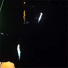 100802katakuti02.jpg(10108 byte)