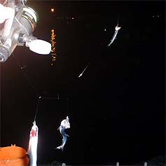 100802katakuti03.jpg(12428 byte)