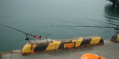 100810sabiki.jpg(29696 byte)