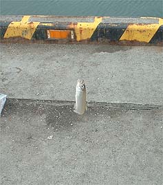 100810tika.jpg(24260 byte)