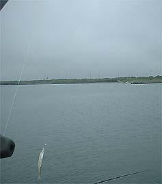 100810tika02.jpg(10752 byte)