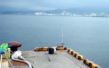 100902turiza.jpg(19507 byte)