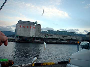 100922aji3ren.jpg(22611 byte)