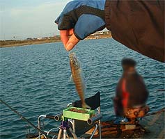 101011aji02.jpg(21409 byte)