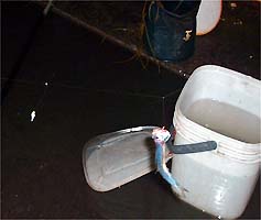 101011katakuti01.jpg(13663 byte)