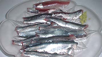101011sasimi.jpg(25274 byte)