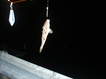 101024abu.jpg(15270 byte)