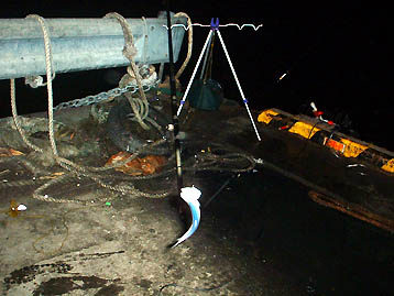 101024katakuti02.jpg(33553 byte)