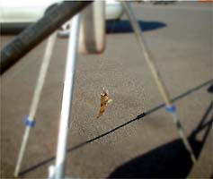 101118kajigon.jpg(12956 byte)