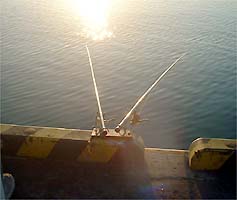 101118sao01.jpg(13247 byte)