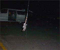 101118soi01.jpg(10290 byte)