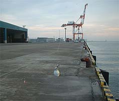 101122_0742fugu01.jpg(14424 byte)