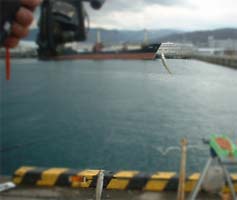 101122_1206tika02.jpg(12398 byte)