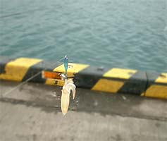 101122_1314mame08.jpg(13430 byte)