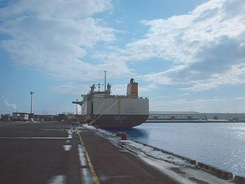 110202hidari.jpg(18794 byte)