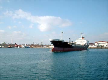 110202syukko.jpg(18370 byte)