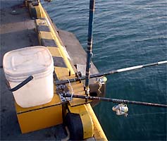 110209syakuri01.jpg(20421 byte)