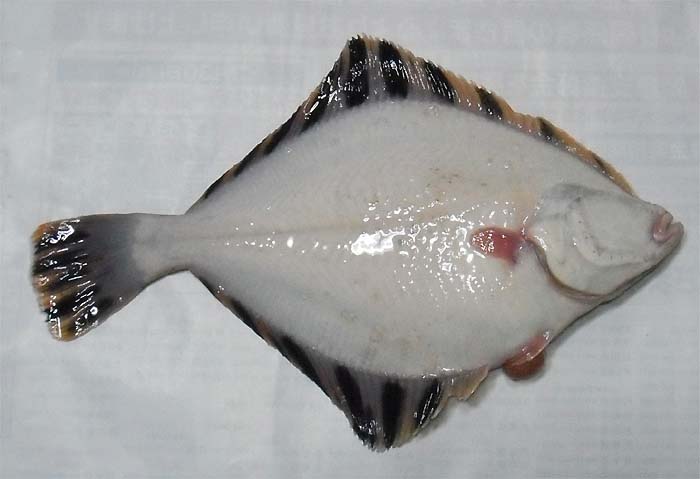 110330.jpg(34802 byte)