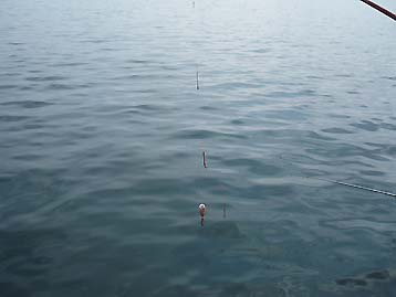 110330kagosikake.jpg(14871 byte)