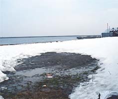 110330katunai01.jpg(14129 byte)