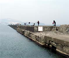 110330minami01.jpg(14494 byte)