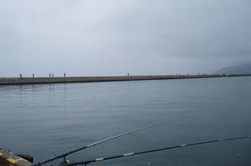 110427kitabo.jpg(12084 byte)