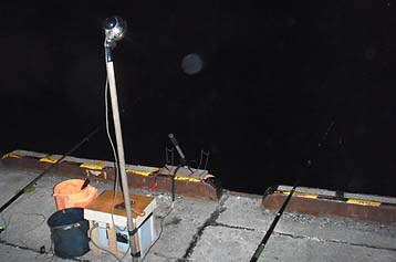 110427yoru.jpg(17639 byte)