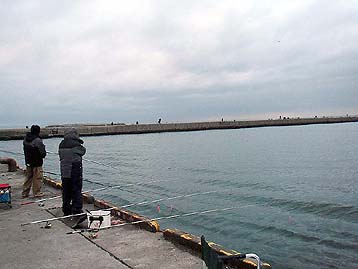 110505_0439.jpg(21737 byte)
