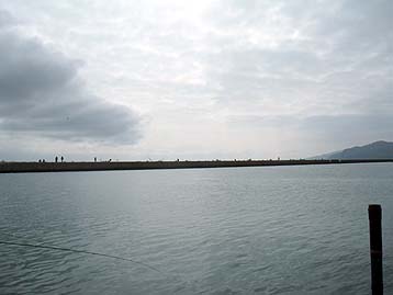 110505_0813.jpg(15898 byte)