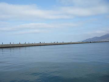 110505_1534.jpg(13225 byte)