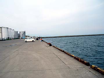 110530hidari.jpg(19398 byte)