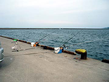 110530turiza.jpg(22836 byte)