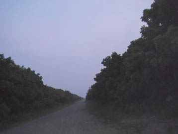 110619ap.jpg(13097 byte)
