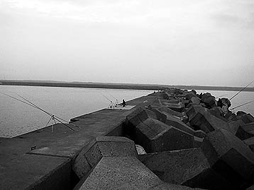110619nisitetora.jpg(18131 byte)
