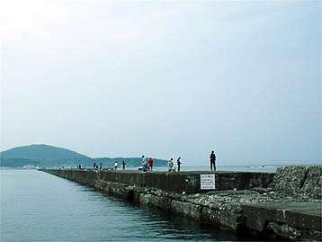 110703minami.jpg(19557 byte)